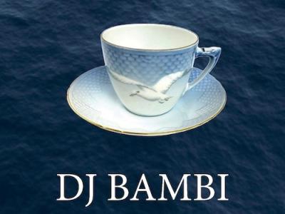 Marie anbefaler: Auður Ava Ólafsdóttir: DJ Bambi