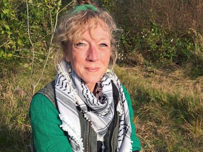 Hvilke bøger 'stemmer' Stine Zink Kaasgaard på?