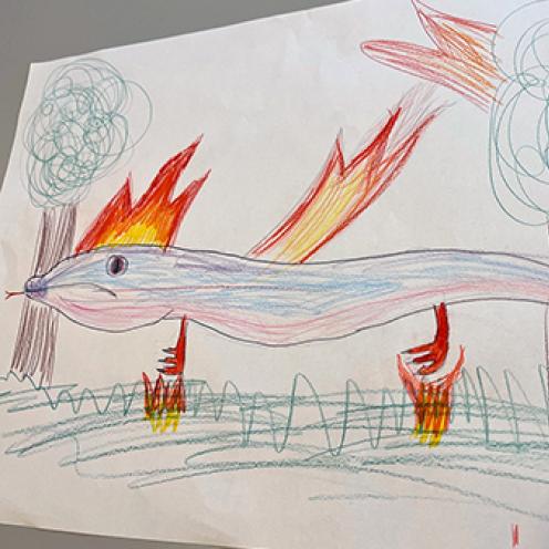 Børnetegninger fra arrangementet 'Bogen om Blom'